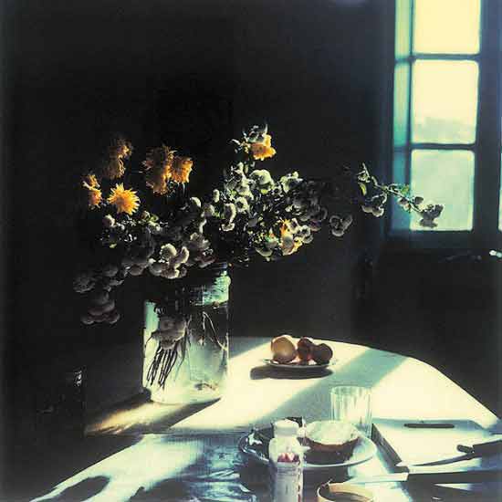 Andrei Tarkovsky: Instant Light - The Culturium -