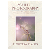 Soulful Photography, Flowers & Plants - The Culturium